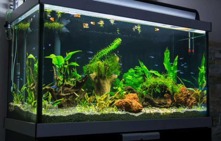 fish-aquarium-with-fish-decorations-accessories-big-0