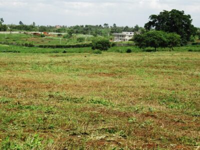 Land for Sale in Kenya: Smart Tips Before You Invest