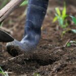 Organic Farming in Kenya: Tools and Supplies for Sustainable Growth